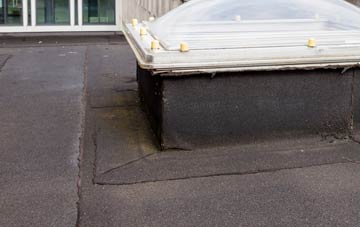 disadvantages of Fleetlands flat roofs