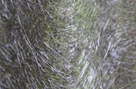 Fleetlands fibreglass roof work